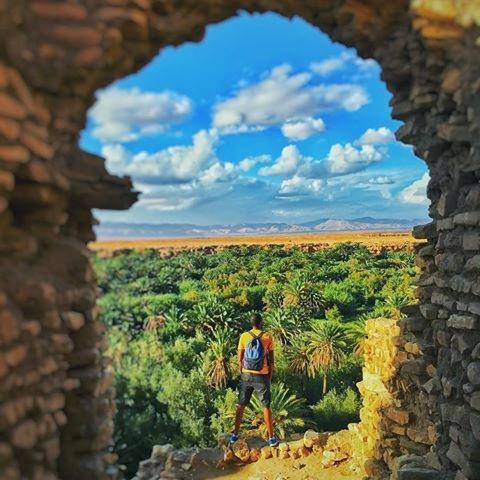 Auberge Kasbah Tiriguioute Skoura Bagian luar foto