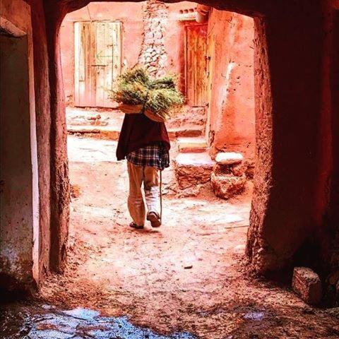 Auberge Kasbah Tiriguioute Skoura Bagian luar foto