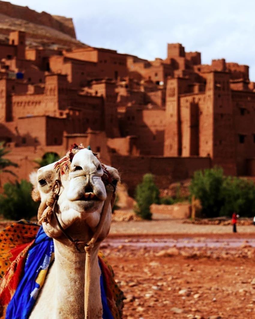 Auberge Kasbah Tiriguioute Skoura Bagian luar foto